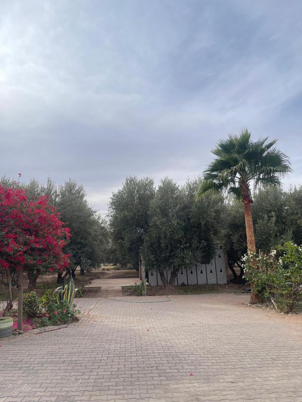 Riad Oussari Apartment Marrakesh Exterior photo