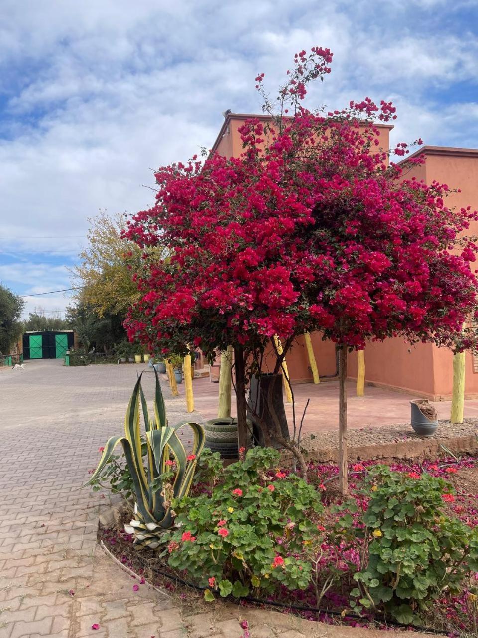 Riad Oussari Marrakesh Exterior photo