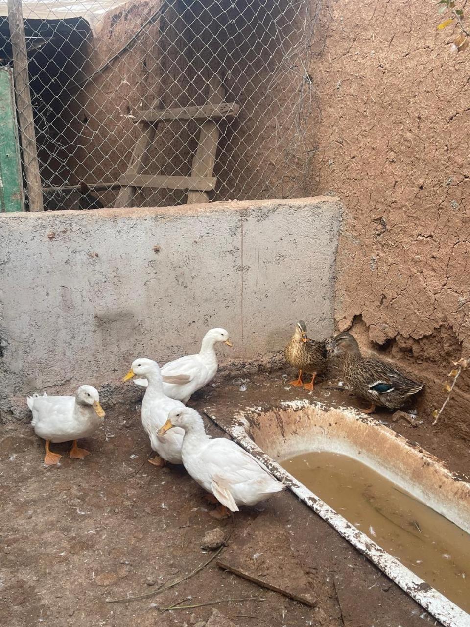 Riad Oussari Marrakesh Exterior photo
